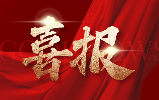 地大信息荣获2024年度中国职业安全健康协会 科技进步奖“特等奖”